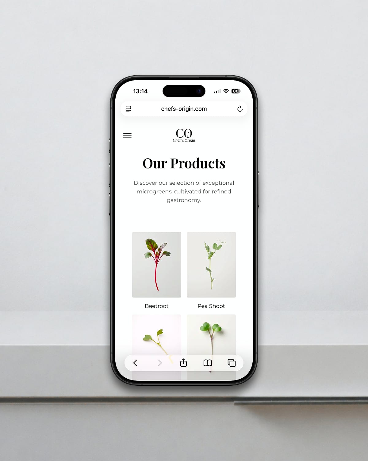 Visuel 1, Chef's Origin