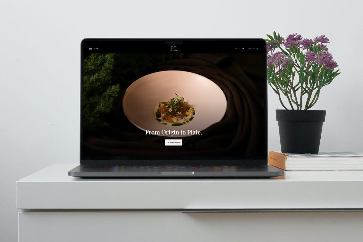 Site vitrine Chef's Origin, agroalimentaire premium, Chef's Origin
